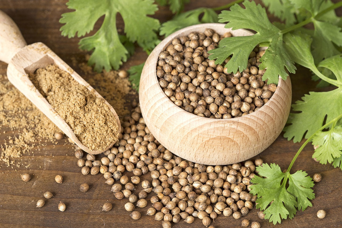 Coriander Powder