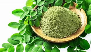 Moringa leaves Powder